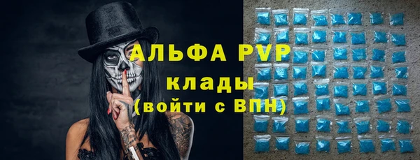 твердый Арсеньев
