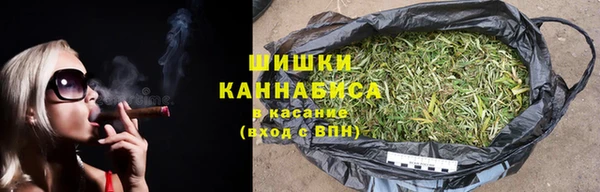 твердый Арсеньев