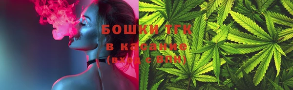 твердый Арсеньев