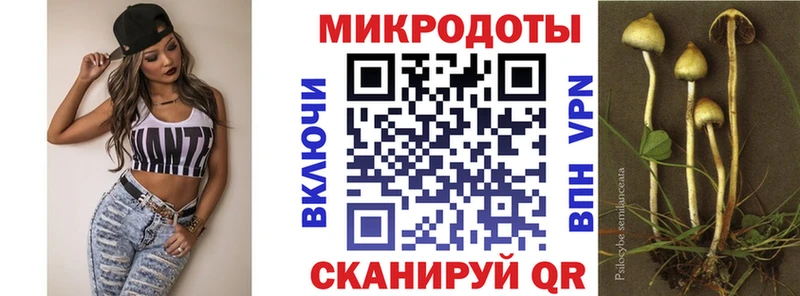 купить наркоту  Талдом  Галлюциногенные грибы мухоморы 
